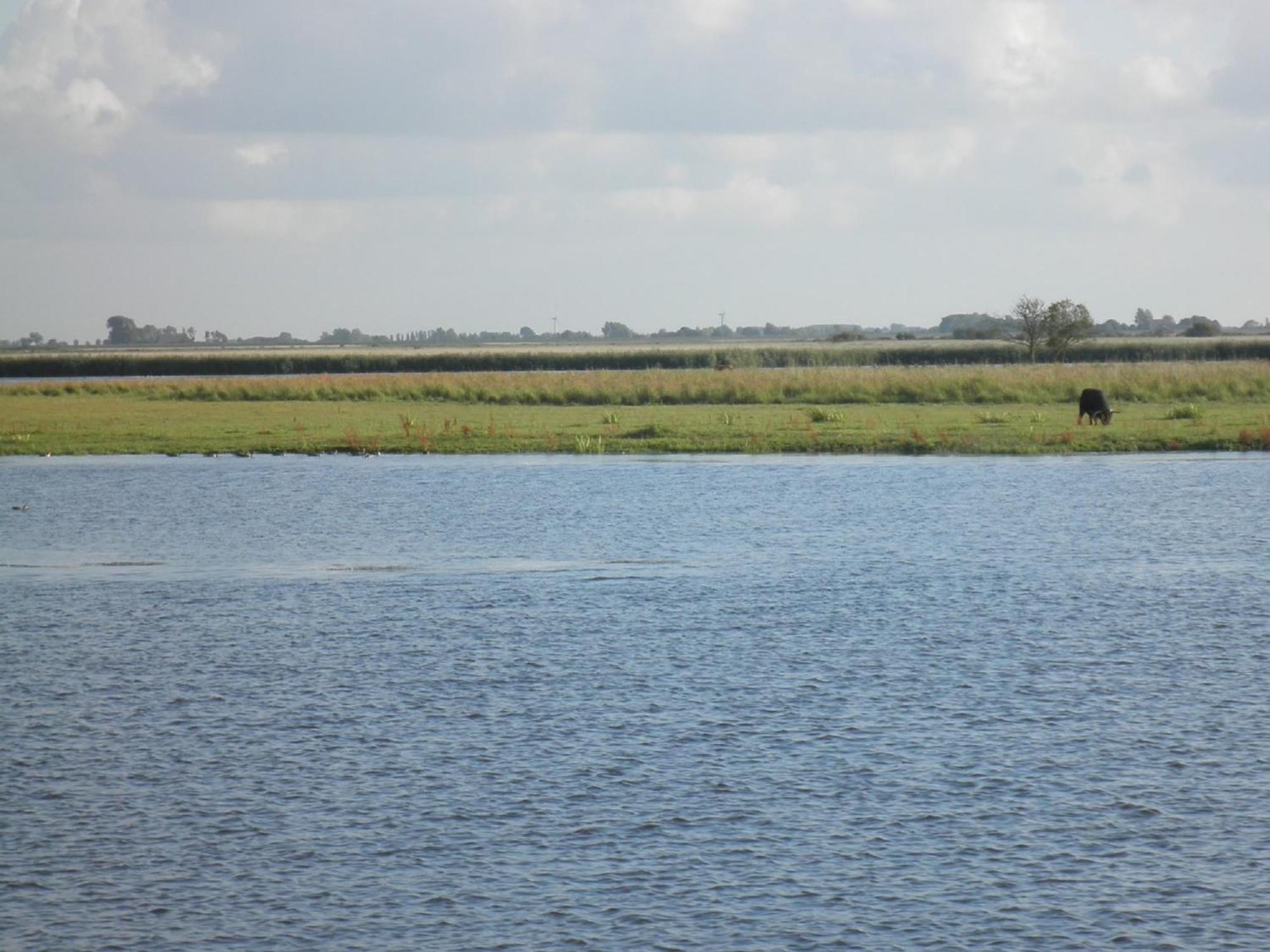 Leonie 6 Pers Holiday Home With A Large Garden Close To The Lauwersmeer Anjum Buitenkant foto